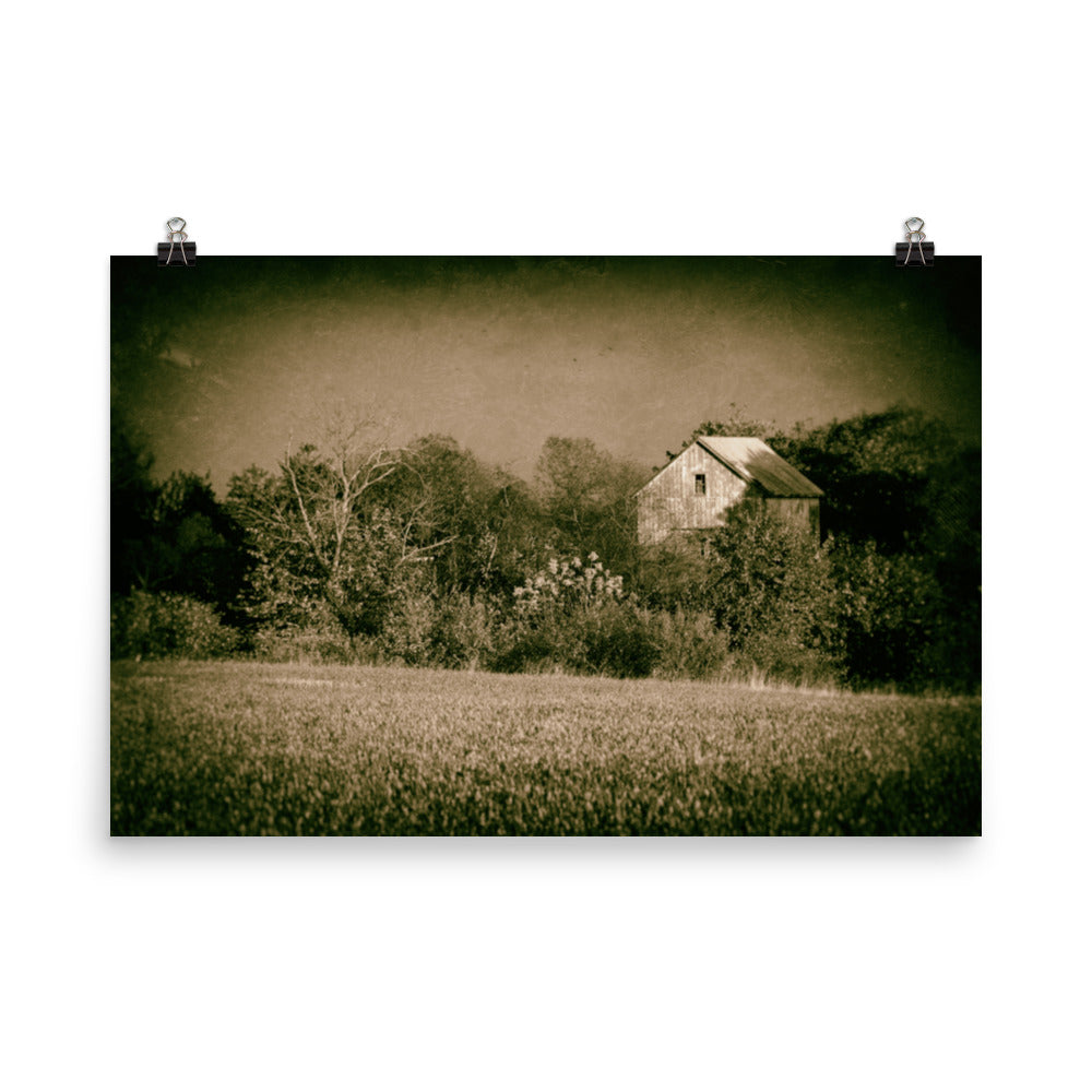 Rustic Contemporary Wall Decor: Abandoned Barn In The Trees Vintage Loose Wall Art Prints - PIPAFINEART