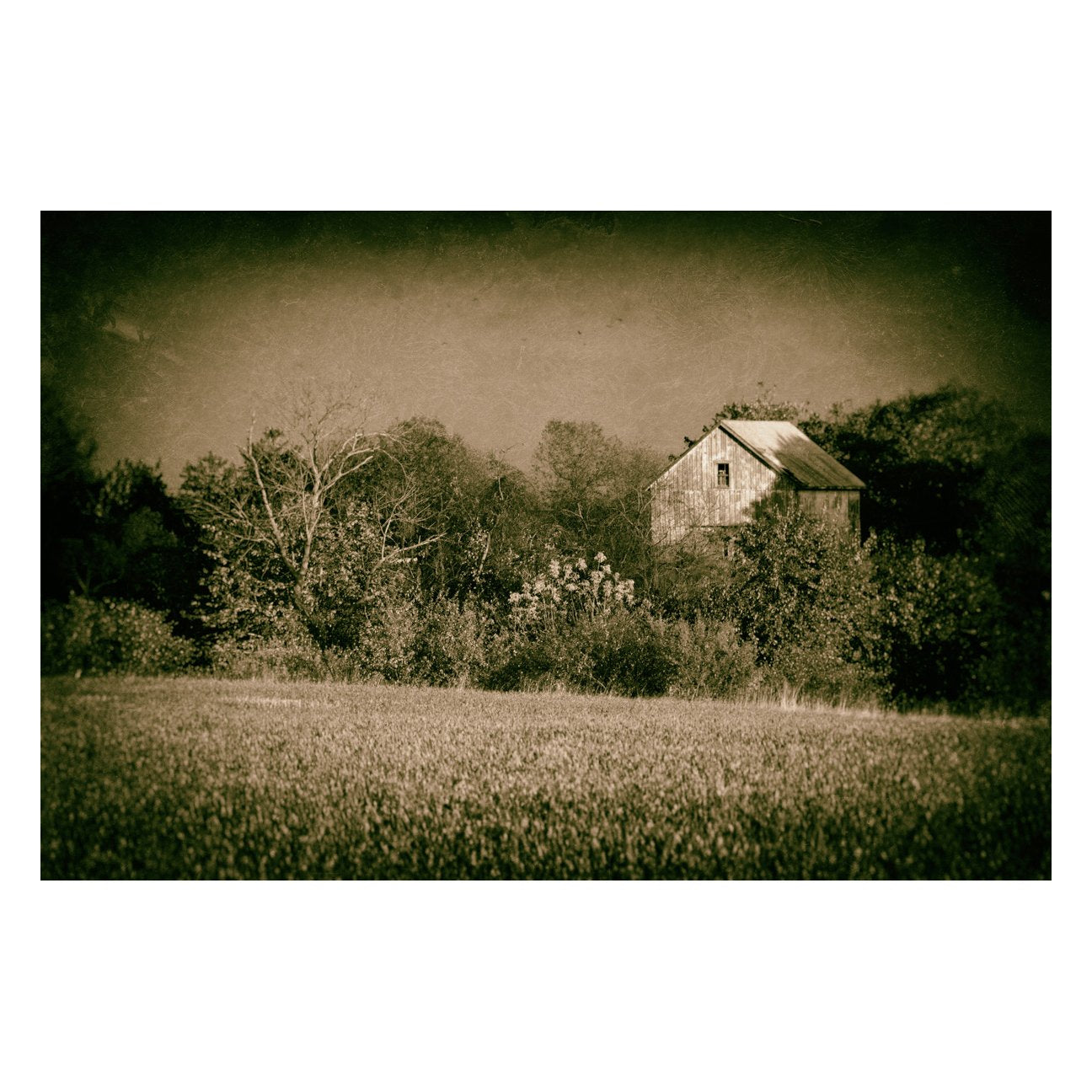 Wall Art For Rustic Living Room: Abandoned Barn In The Trees Vintage Rural Landscape Fine Art Canvas Wall Art Prints  - PIPAFINEART