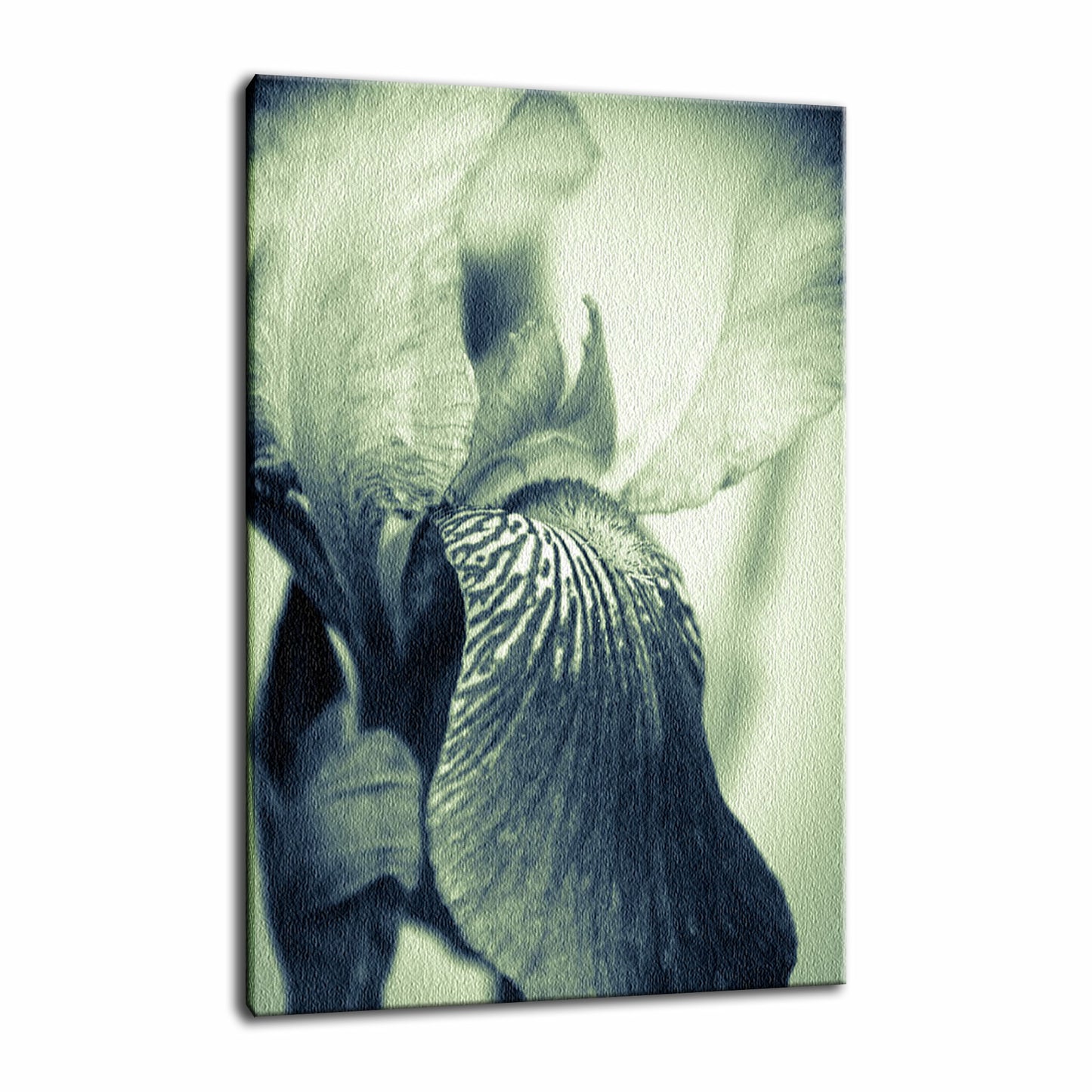 Rustic Canvas Wall Art: Abstract Japanese Iris Delight Nature / Floral Photo Fine Art Canvas Wall Art Prints  - PIPAFINEART