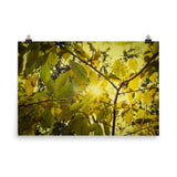 Nature Wall Art: Abstract Golden Plant Leaves: Aged Golden Leaves Botanical Nature Photo Loose Unframed Wall Art Prints - PIPAFINEART