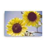 Aged Sunflowers Against Sky Floral Nature Canvas Wall Art Prints