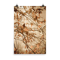 Plant Art Wall Decor: Aged Winter Leaves Botanical Nature Photo Loose Unframed Wall Art Prints - PIPAFINEART