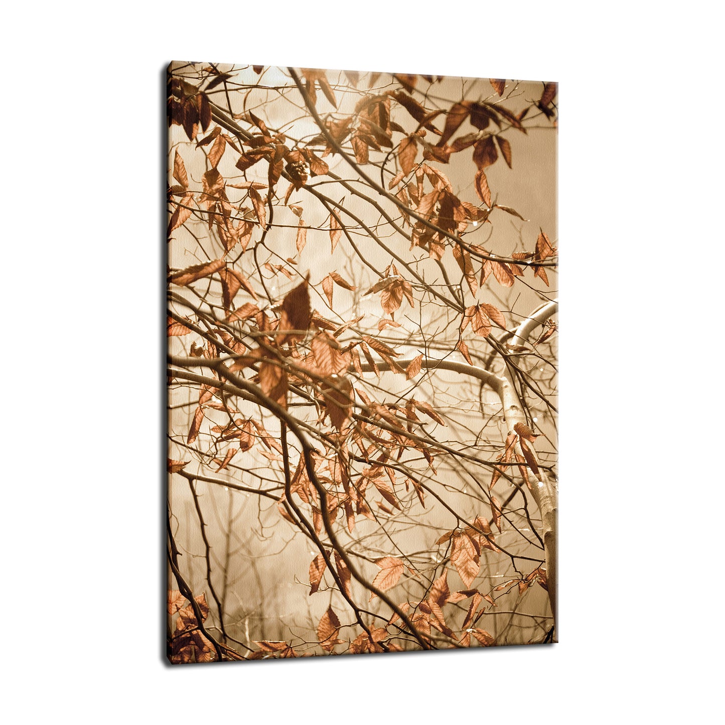 Modern Rustic Wall Decor: Aged Winter Leaves Botanical / Nature Photo Fine Art Canvas Wall Art Prints  - PIPAFINEART