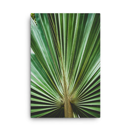 Contemporary Wall Art For Dining Room: Aged and Colorized Wide Palm Leaves 2 - Botanical / Plants Nature Photograph Canvas Wall Art Print - Artwork