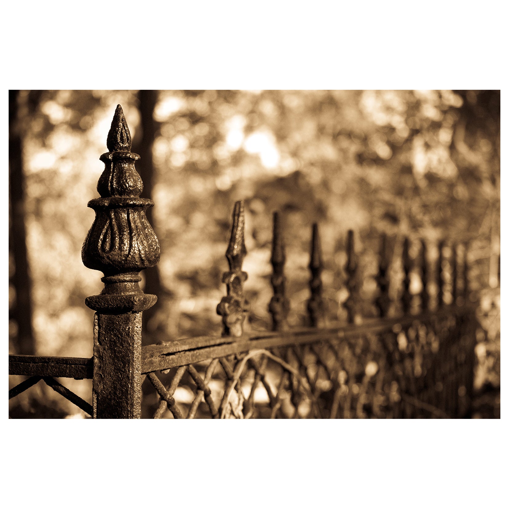 Sepia Antique Fence Abstract Photo Fine Art Canvas & Unframed Wall Art Prints  - PIPAFINEART