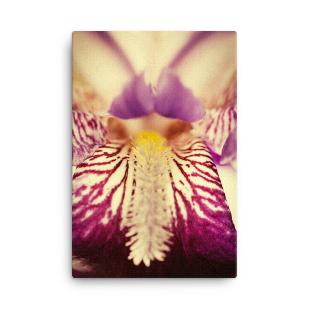 Canvas Art With Flowers: Antiqued Iris - Botanical / Floral / Flora / Flowers / Nature Photograph Canvas Wall Art Print - Artwork