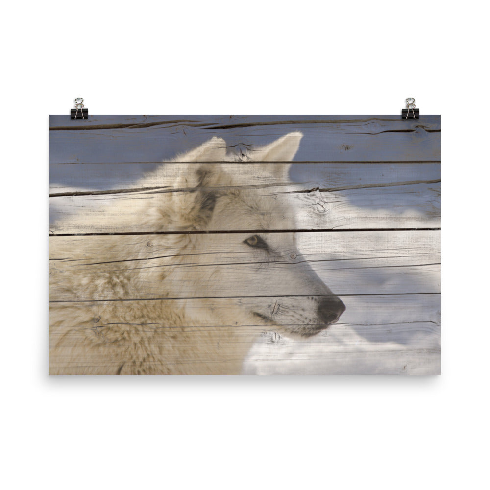 Farmhouse Home Office Wall Decor: Aries the White Wolf Portrait on Faux Weathered Wood Texture - Farmhouse / Country Style / Modern Wildlife / Animal Photographic Artwork