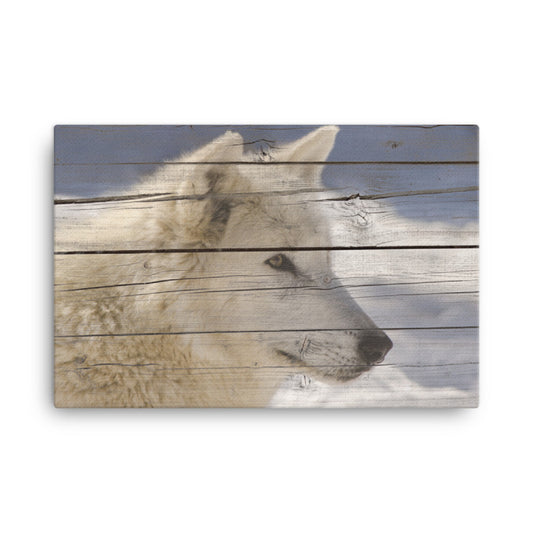 Canvas Wall Art Rustic: Aries the White Wolf Portrait on Faux Weathered Wood Texture - Wildlife / Animal / Nature Photograph Canvas Wall Art Print - Artwork
