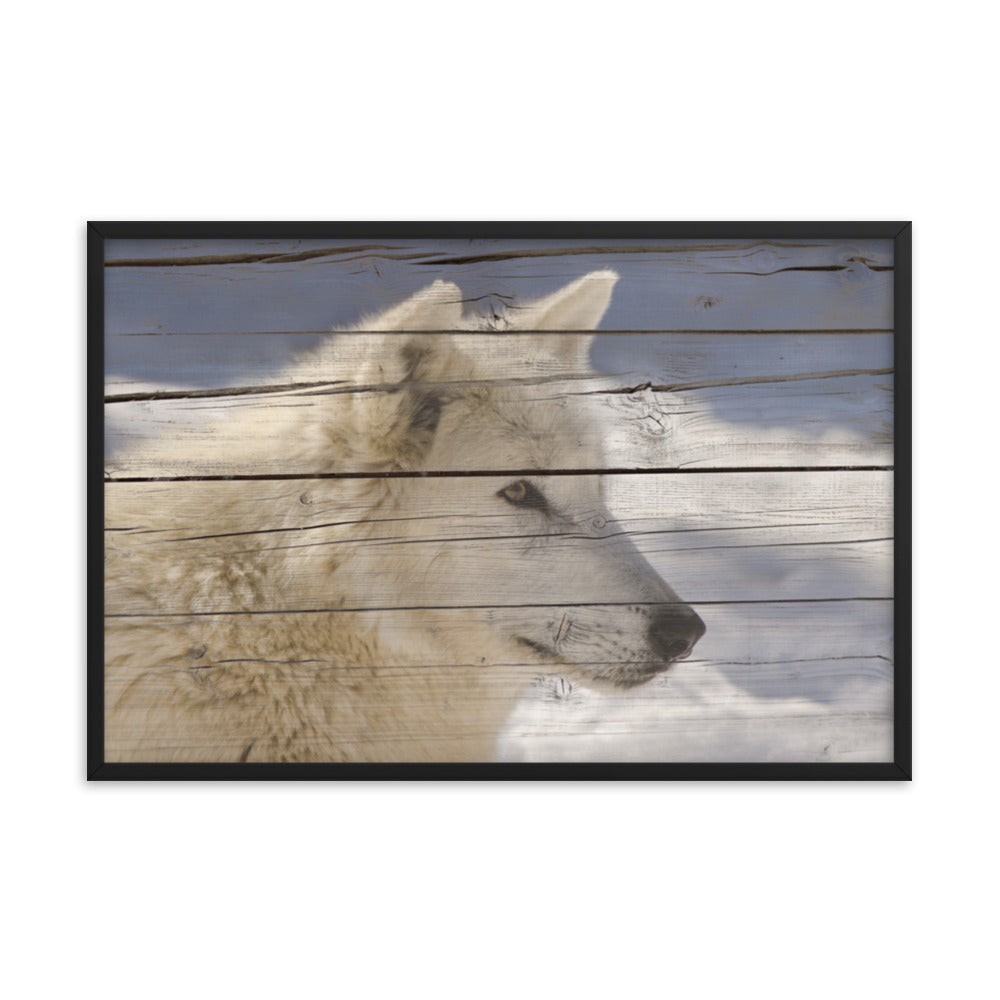 Wall Decor For Long Hallway: Aries the White Wolf Portrait on Faux Weathered Wood Texture / Animal / Wildlife / Nature Photographic Artwork - Framed Artwork - Wall Decor