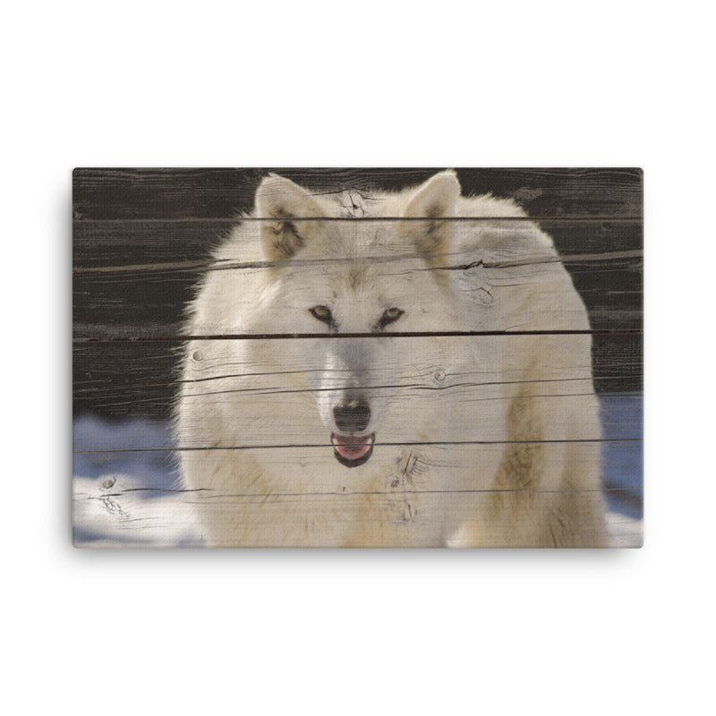 Minimalist Kitchen Art: White Wolf Portrait on Faux Weathered Wood Texture - Wildlife / Animal / Nature Photograph Canvas Wall Art Print - Artwork