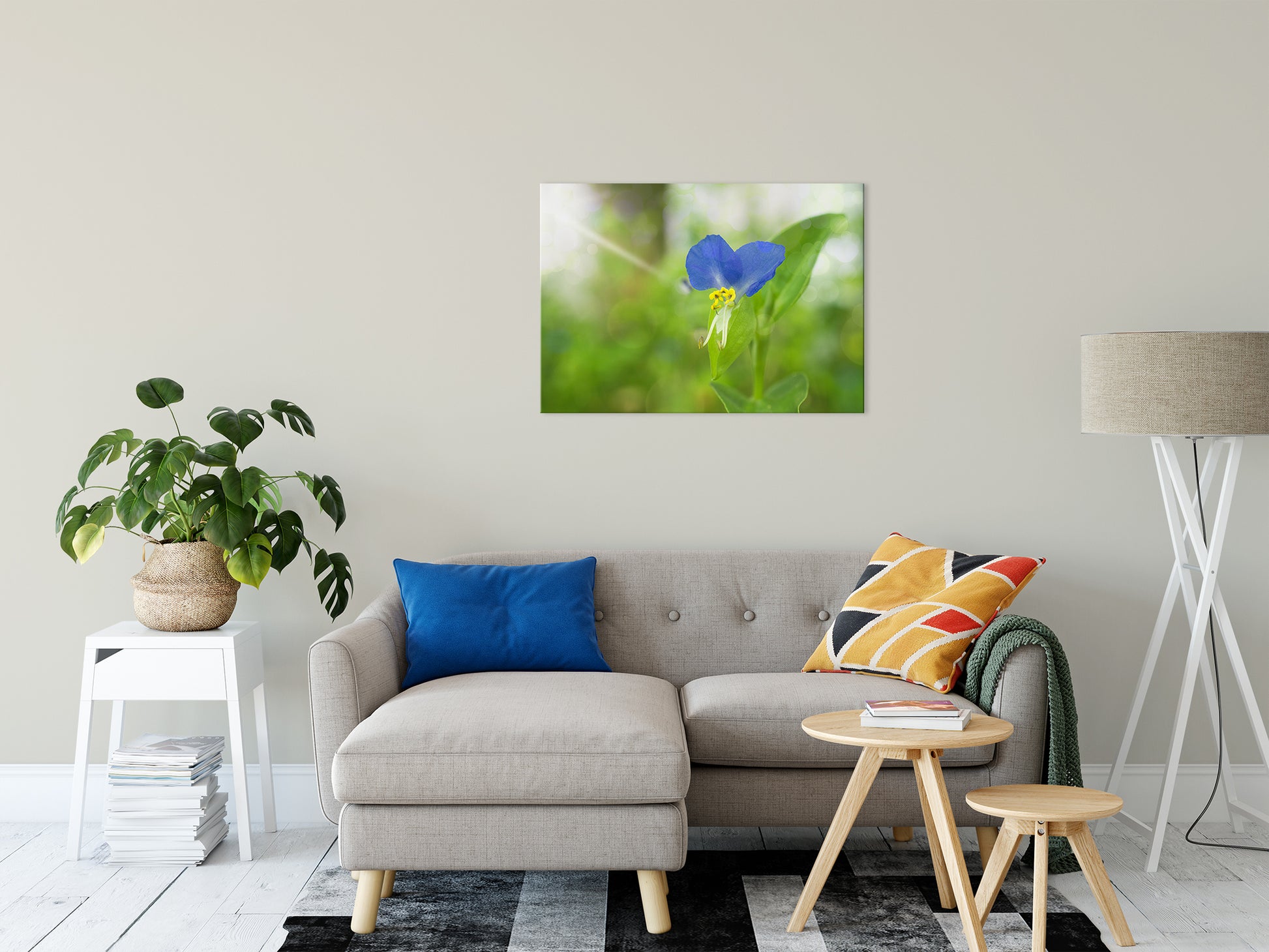 Large Canvas Flower Wall Art: Asiatic Day Flower Nature / Floral Photo Fine Art Canvas Wall Art Prints 24" x 36" - PIPAFINEART