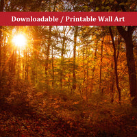 Farmhouse Wall Decor Large: Autumn Sunset Landscape Photo DIY Wall Decor Instant Download Print - Printable  - PIPAFINEART