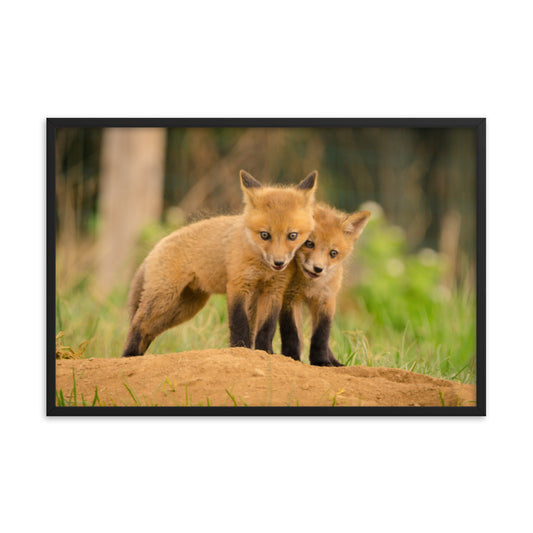 Fox Nursery Wall Art: Close to You Baby Fox Pups - Animal / Wildlife / Nature Artwork - Wall Decor - Framed Wall Art Print