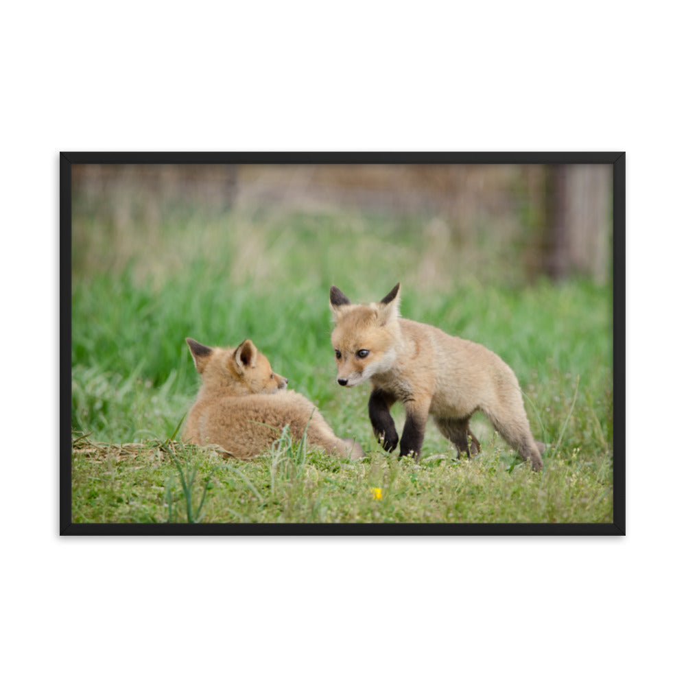 Big Wall Frames For Bedroom: Baby Fox Pups / Kits - Coming to Get You - Animal / Wildlife / Nature Artwork - Wall Decor - Framed Wall Art Print