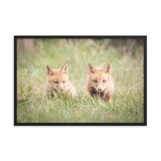 Baby Red Foxes Learning to Hunt Animal Wildlife Photograph Framed Wall Art Prints