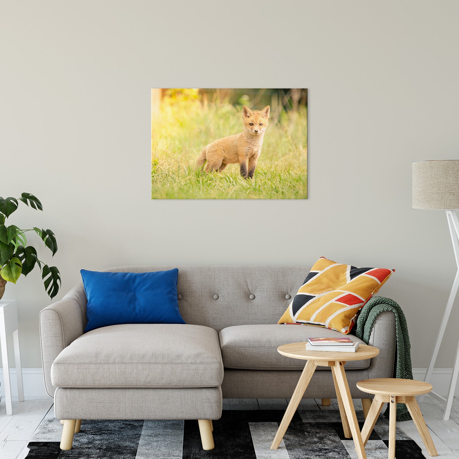 Baby Red Fox in the Sun Animal / Wildlife Photograph Fine Art Canvas & Unframed Wall Art Prints 24" x 36" / Canvas Fine Art - PIPAFINEART