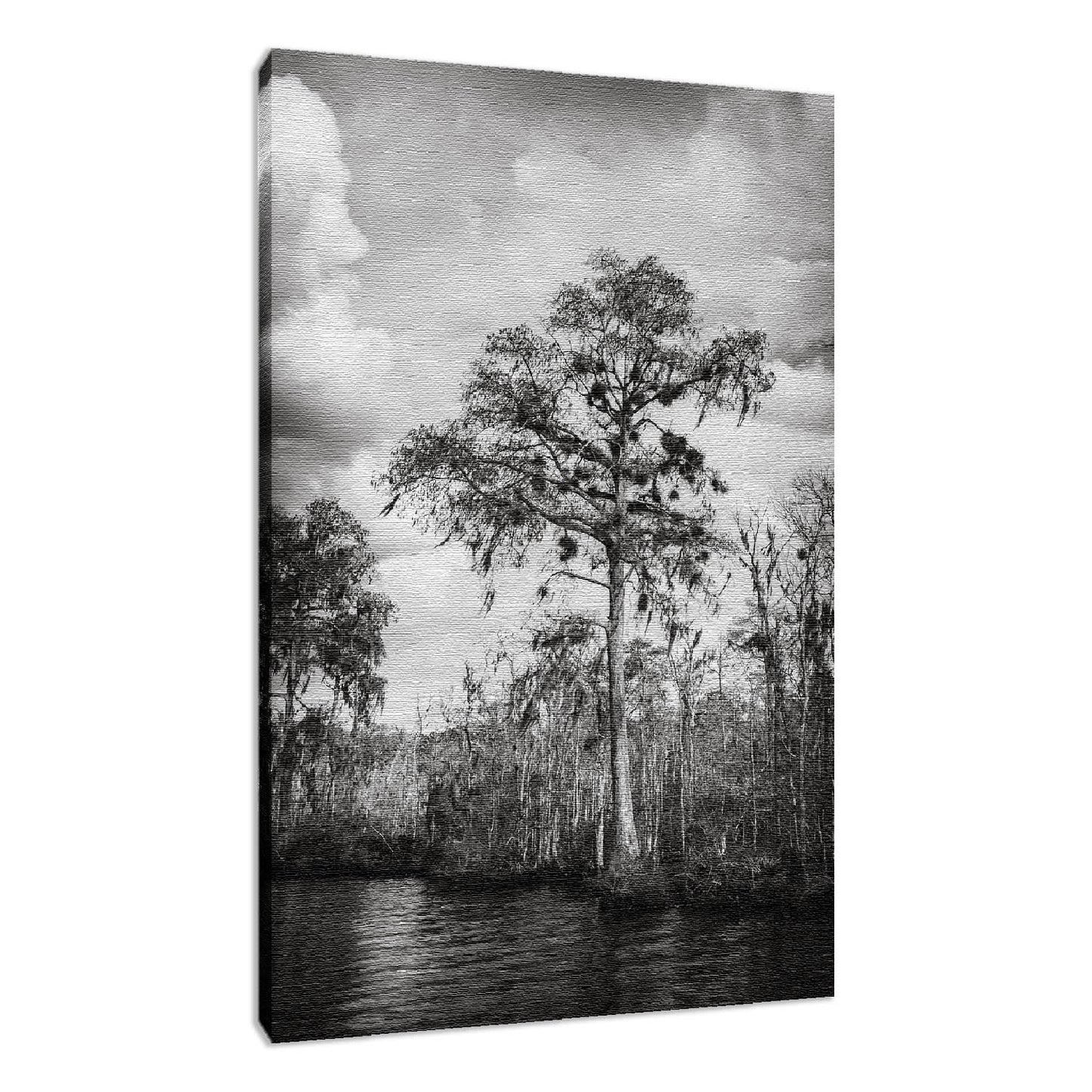 Country Style Canvas Wall Art: Backwoods River Tree 3 Black and White Landscape Photo Fine Art Canvas Wall Art Print