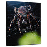 Backyard Buddy Animal / Wildlife Photograph Fine Art Canvas & Unframed Wall Art Prints  - PIPAFINEART