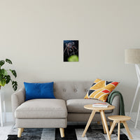 Backyard Buddy Animal / Wildlife Photograph Fine Art Canvas & Unframed Wall Art Prints 11" x 14" / Canvas Fine Art - PIPAFINEART