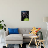 Backyard Buddy Animal / Wildlife Photograph Fine Art Canvas & Unframed Wall Art Prints 16" x 20" / Canvas Fine Art - PIPAFINEART