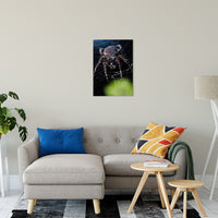 Backyard Buddy Animal / Wildlife Photograph Fine Art Canvas & Unframed Wall Art Prints 20" x 24" / Canvas Fine Art - PIPAFINEART