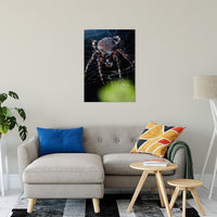 Backyard Buddy Animal / Wildlife Photograph Fine Art Canvas & Unframed Wall Art Prints 24" x 36" / Canvas Fine Art - PIPAFINEART