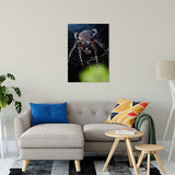 Backyard Buddy Animal / Wildlife Photograph Fine Art Canvas & Unframed Wall Art Prints 24" x 36" / Canvas Fine Art - PIPAFINEART
