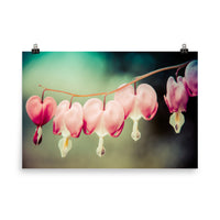 8X10 Unframed Art Prints: Be Still My Bleeding Heart Colorized Floral Nature Photo Loose Unframed Wall Art Prints - PIPAFINEART
