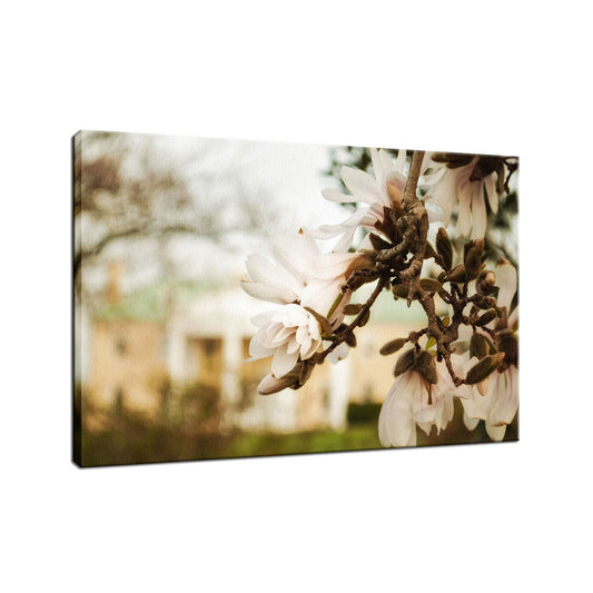 Bellevue Mansion Nature / Floral Photo Fine Art Canvas Wall Art Prints  - PIPAFINEART