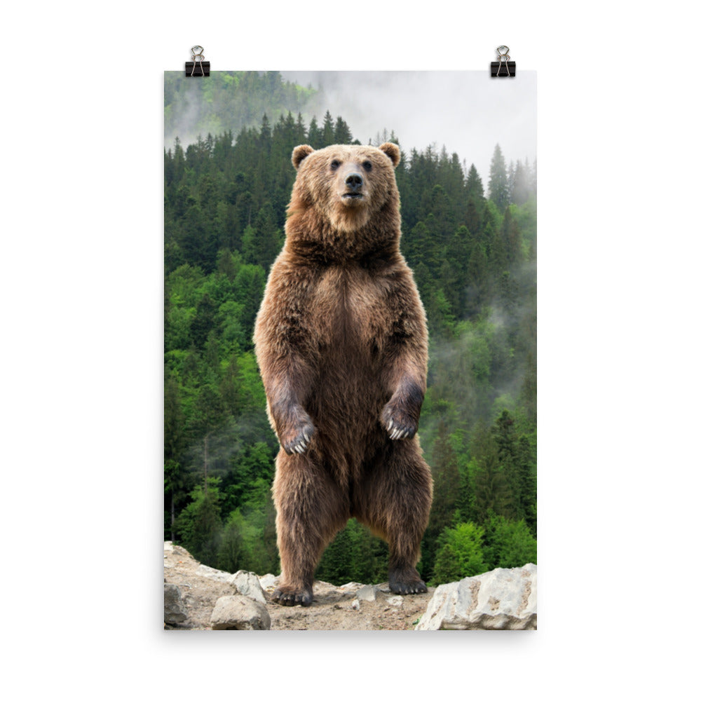 Big Standing Brown Bear on Mountain Top Loose Wall Art Print