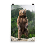 Big Standing Brown Bear On Mountain Top Loose Wall Art Print