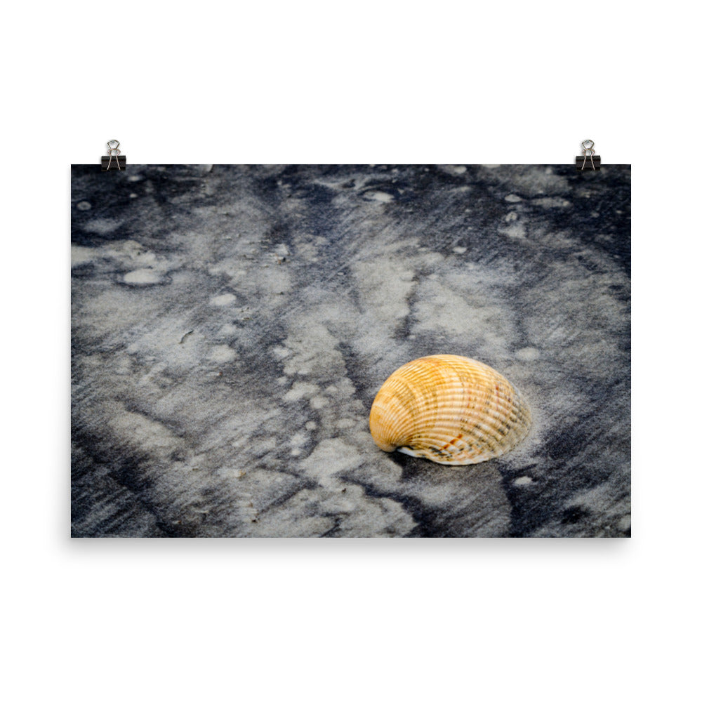 Black Sands and Seashell on the Shore Coastal Nature Photo Loose Unframed Wall Art Prints - PIPAFINEART