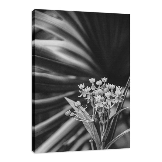 Bloodflowers & Palm Black & White Floral Photo Fine Art Canvas Wall Art Prints  - PIPAFINEART