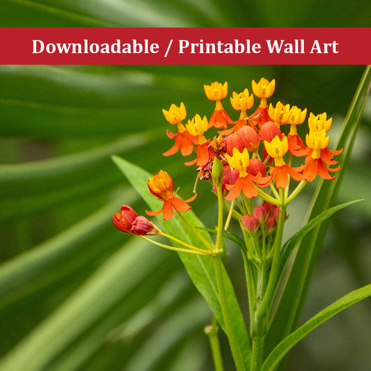 Bloodflowers and Palm Color Floral Nature Photo DIY Wall Decor Instant Download Print - Printable  - PIPAFINEART