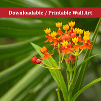 Bloodflowers and Palm Color Floral Nature Photo DIY Wall Decor Instant Download Print - Printable  - PIPAFINEART