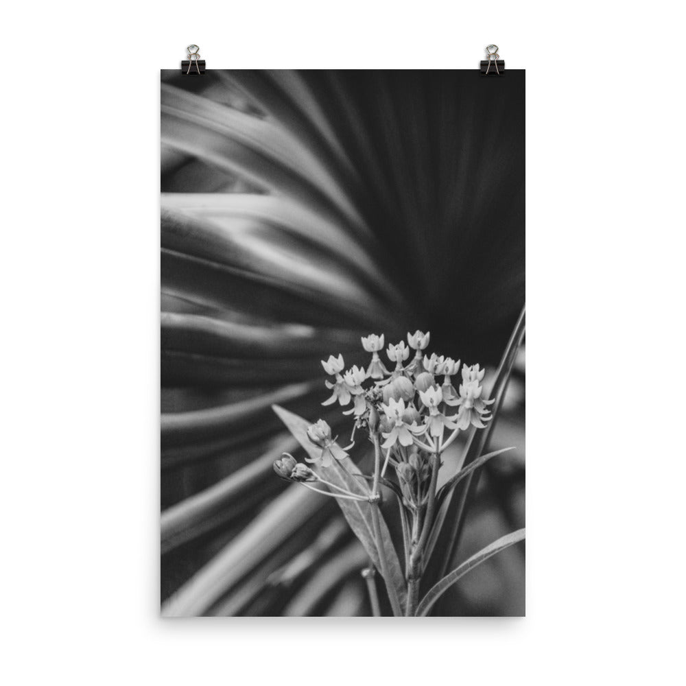 Bloodflowers and Palm Black and White Floral Nature Photo Loose Unframed Wall Art Prints - PIPAFINEART