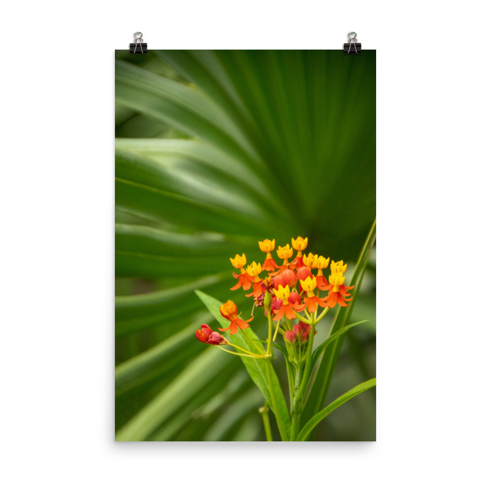 Bloodflowers and Palm Color Floral Nature Photo Loose Unframed Wall Art Prints - PIPAFINEART