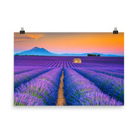 Blooming Lavender Field and Sunset Loose Wall Art Prints - PIPAFINEART