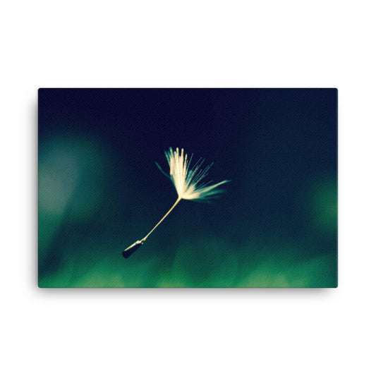 Blowing in the Wind Botanical Nature Canvas Wall Art Prints