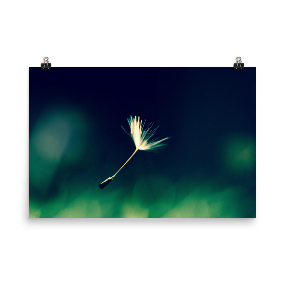 Blowing in the Wind Nature Photo Loose Unframed Wall Art Prints - PIPAFINEART