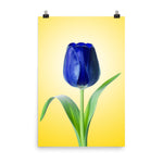 Bedroom Flower Wall Decor: Blue Tulip Minimal Floral Nature Photo - For Ukraine Refugees Loose Wall Art Print