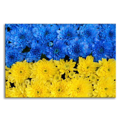 Blue and Yellow Chrysanthemums Floral Botanical Nature Photograph Canvas Wall Art Print