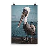 Bob The Pelican 2 Colorized Loose Wall Art Print