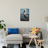 Bob The Pelican 2 Colorized Wildlife Photograph Fine Art Canvas & Unframed Wall Art Prints 20" x 24" / Canvas Fine Art - PIPAFINEART