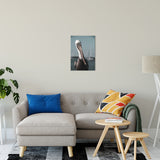 Bob The Pelican 3R Colorized Wildlife Photograph Fine Art Canvas & Unframed Wall Art Prints 16" x 20" / Canvas Fine Art - PIPAFINEART