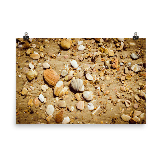 Broken Seashells and Sand Coastal Nature Photo Loose Unframed Wall Art Prints - PIPAFINEART