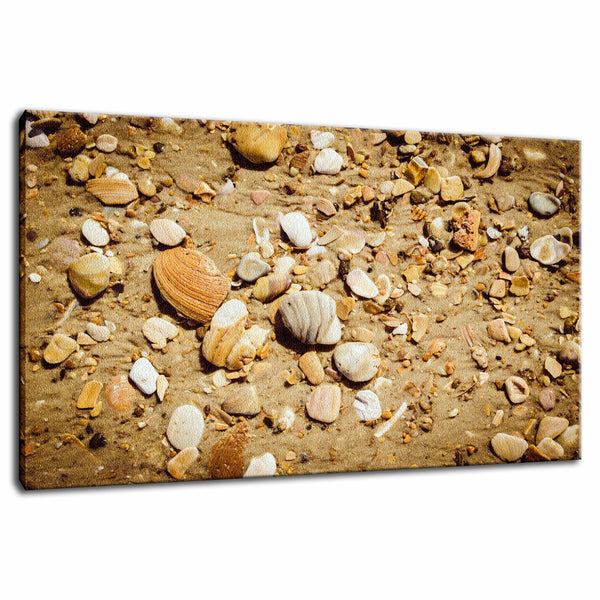Broken Seashells and Sand Coastal Nature Photo Fine Art Canvas Wall Art Prints  - PIPAFINEART