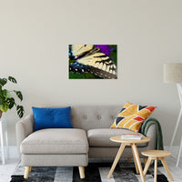 Butterfly Wings Animal / Wildlife Photograph Fine Art Canvas & Unframed Wall Art Prints 20" x 30" / Canvas Fine Art - PIPAFINEART