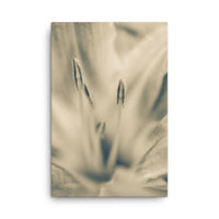 Calm Passions Sepia Floral Nature Canvas Wall Art Prints