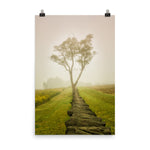 Calming Morning Landscape Photo Loose Wall Art Print - PIPAFINEART